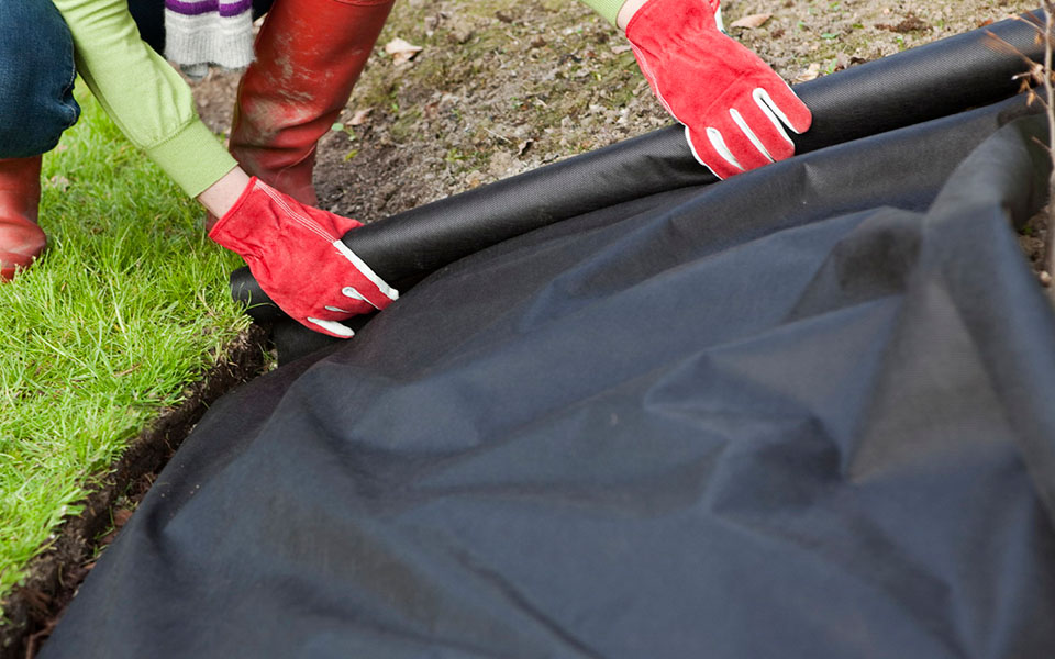 בד לא ארוג חקלאי