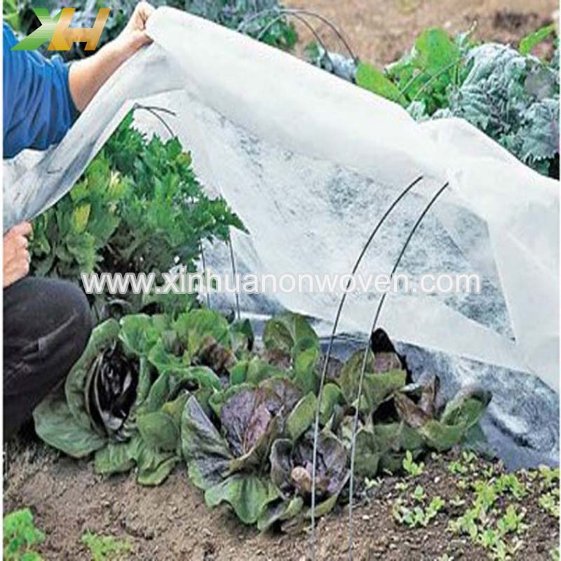 uv treated non woven fabric