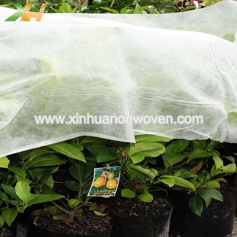 agricultural non woven crop cover