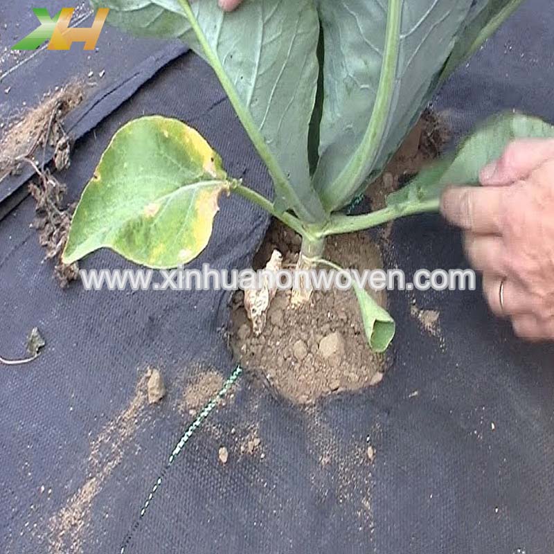 weed control fabric non woven