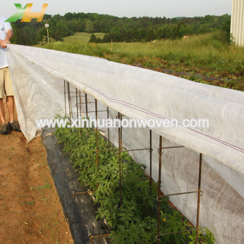 מדוע בחקלאות משתמשים בבדים לא ארוגים?